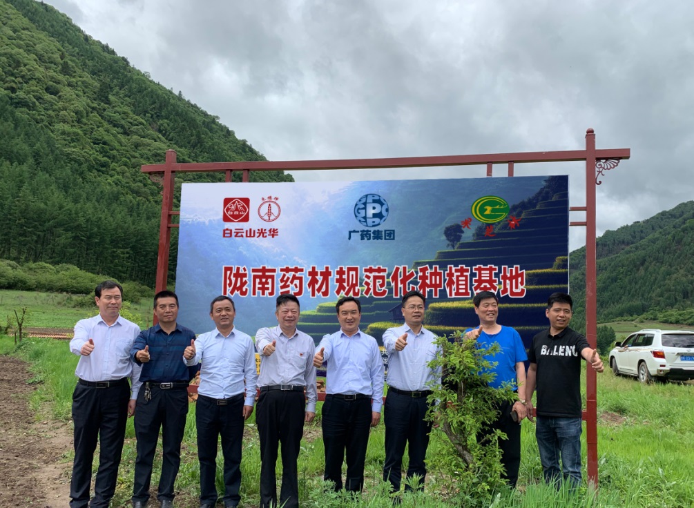 药材好，药才好 ——白云山幼柴胡颗粒北柴胡规范化种植基地正式揭牌！