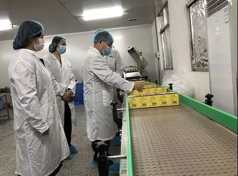 同心抗疫，确保质量！1277星际电子游戏公司振隆厂表车间接受广药集团出产监督保险幼组工作督导